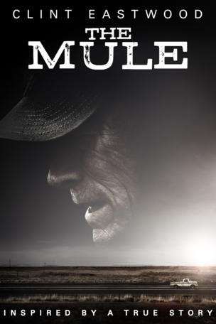 Mule