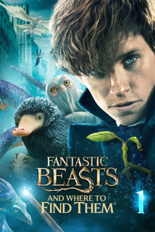 Fantastic Beasts and Where to Find Them