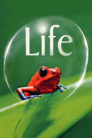Life